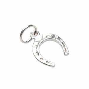 Horseshoe Charm – Good Luck by Serendipity Jewelry