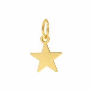 Star Charm – Serendipity Collection