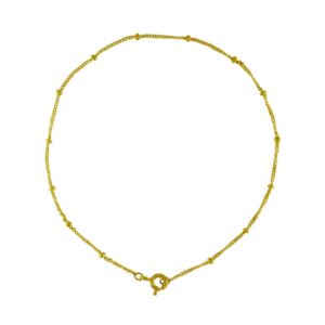 Gold Filled – Mamoncillo Anklet