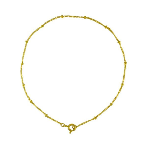 Gold Filled - Mamoncillo Anklet